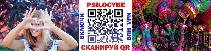 даркнет сайт  Пойковский  Псилоцибиновые грибы MAGIC MUSHROOMS 